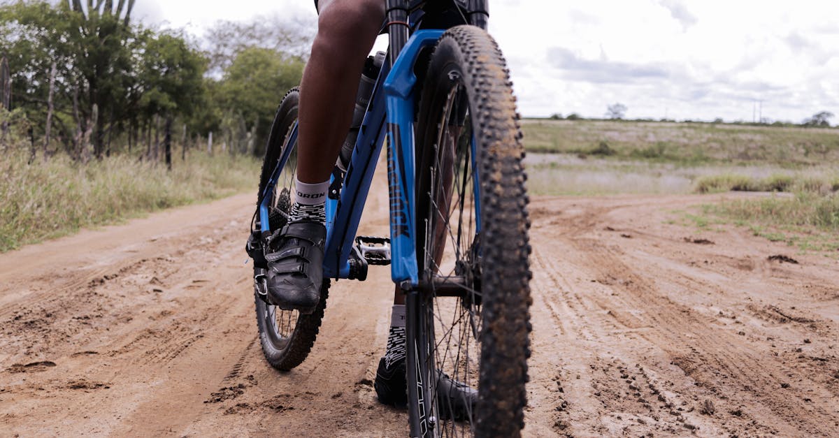 descubre nuestra amplia gama de zapatillas de ciclismo, diseñadas para ofrecerte comodidad, rendimiento y estilo en cada pedaleada. perfectas para ciclistas de todos los niveles.