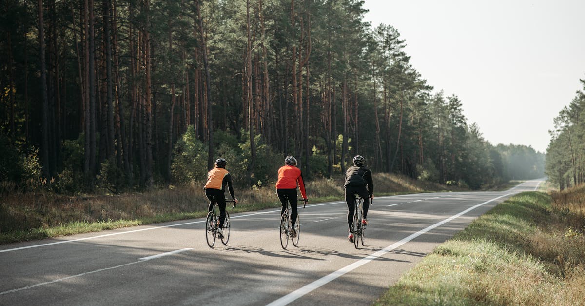 descubre las mejores rutas de ciclismo para principiantes. explora caminos seguros y divertidos, ideales para mejorar tus habilidades mientras disfrutas del aire libre.