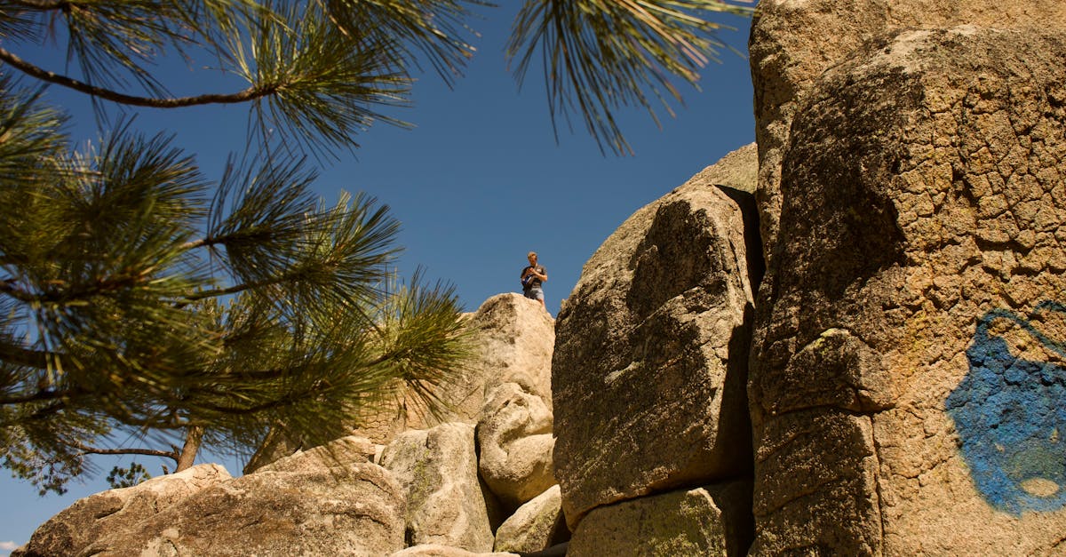 descubre las técnicas de escalada más efectivas para mejorar tus habilidades en la montaña. desde la escalada deportiva hasta la escalada en hielo, aprende consejos y trucos que te ayudarán a alcanzar nuevas alturas.