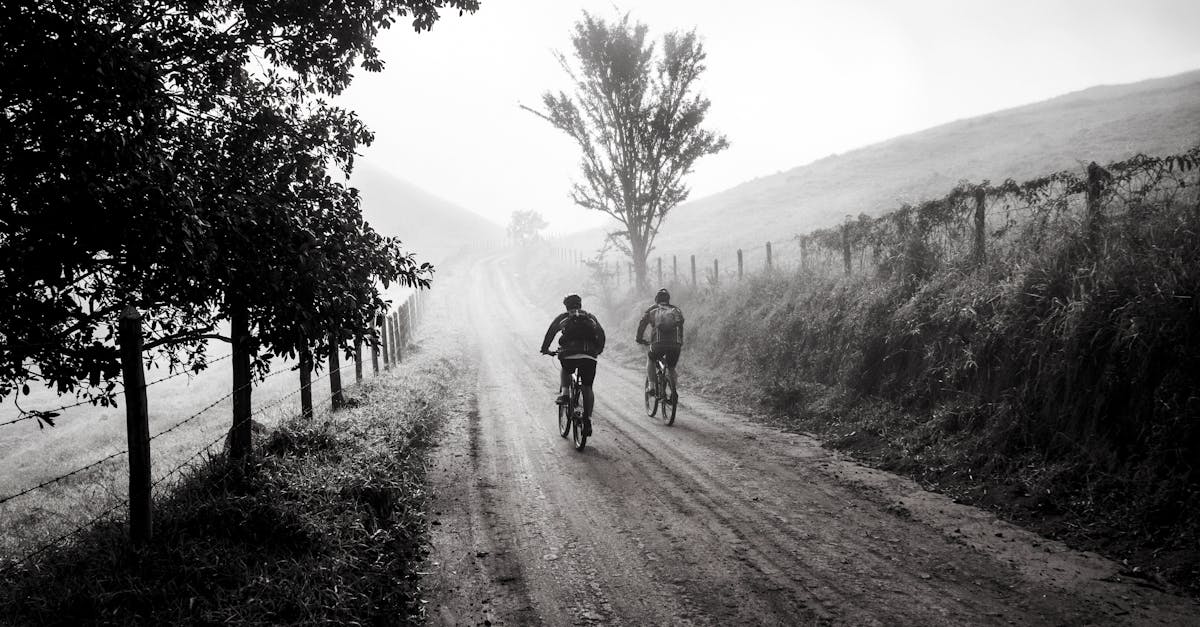 descubre el emocionante mundo del ciclismo, donde la adrenalina se encuentra con la aventura. únete a nosotros para explorar rutas impresionantes, mejorar tus habilidades de ciclismo y disfrutar de la libertad sobre dos ruedas.