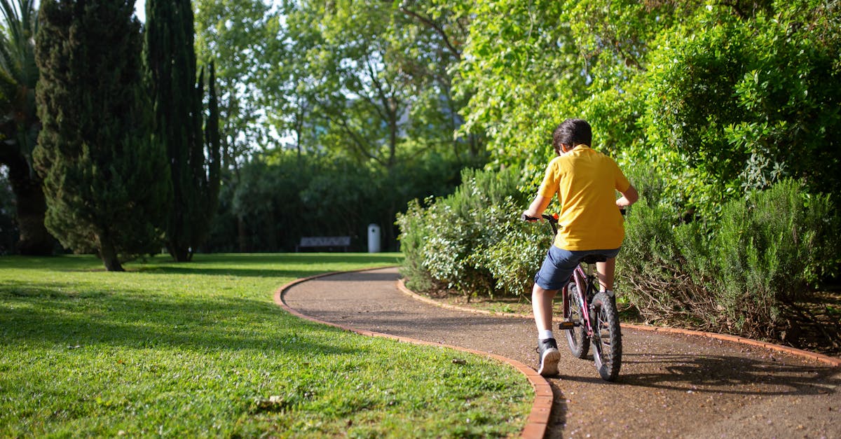 descubre cómo seleccionar el curso de ciclismo perfecto para ti. desde principiantes hasta ciclistas avanzados, encuentra el programa que se adapte a tus necesidades y mejora tus habilidades sobre la bicicleta.