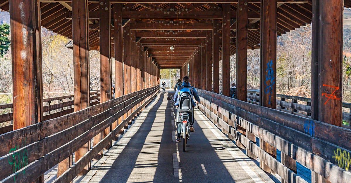 descubre los mejores suplementos para ciclistas que mejorarán tu rendimiento y resistencia en cada ruta. aumenta tu energía, acelera tu recuperación y optimiza tus entrenamientos con productos diseñados específicamente para el ciclismo.