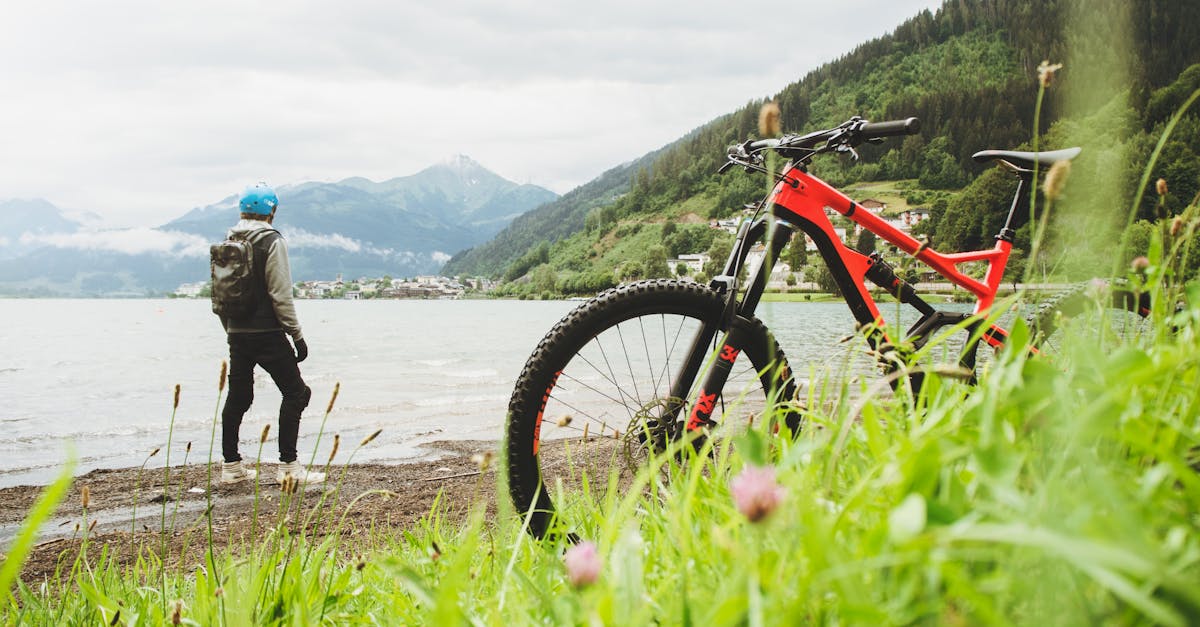 descubre la emoción del mountain biking: aventuras en la naturaleza, rutas desafiantes y la libertad de explorar paisajes impresionantes sobre dos ruedas. ¡aprovecha al máximo cada sendero!