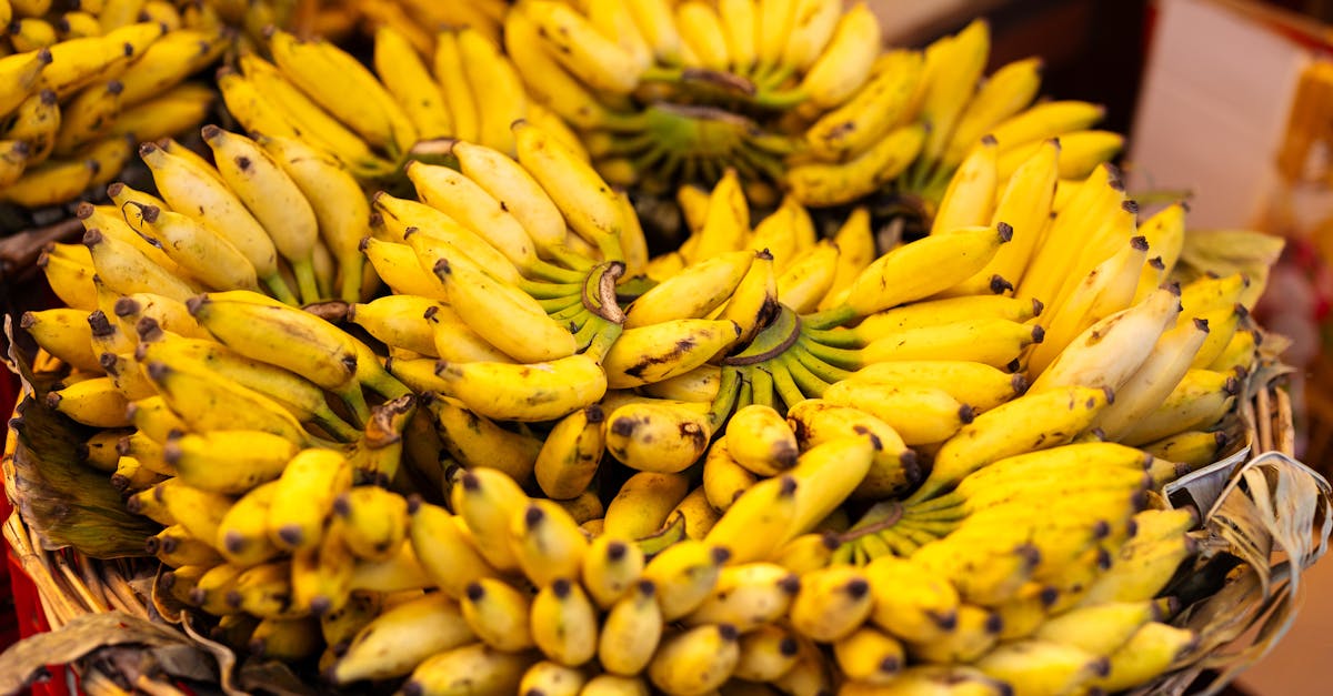 descubre la mejor nutrición para ciclistas y optimiza tu rendimiento sobre la bicicleta. aprende sobre alimentos, suplementos y consejos para mantenerte energizado durante tus rutas.