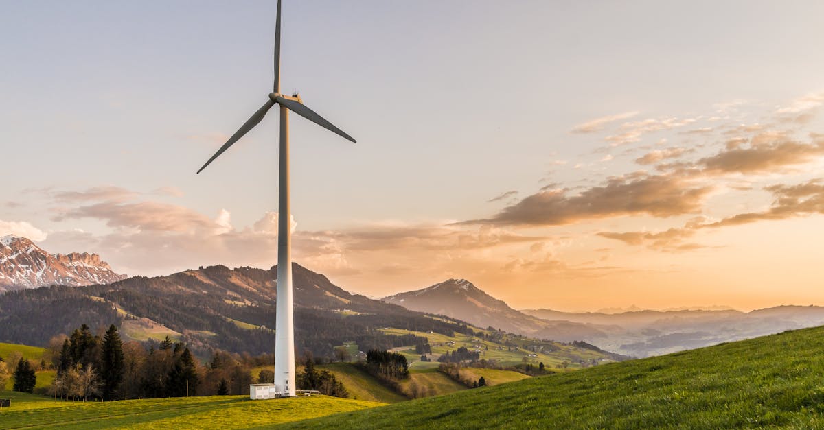 descubre el fascinante mundo de la energía: tipos, fuentes renovables y su impacto en el medio ambiente. aprende cómo la energía transforma nuestras vidas y contribuye al desarrollo sostenible.